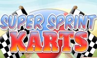 Super Sprint Karts
