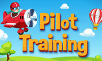 Pilot Training